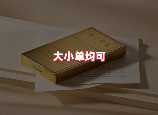 专业团队